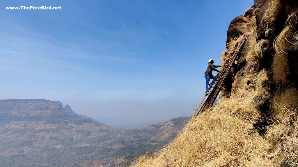 Ladder at Pisarnath Temple trek