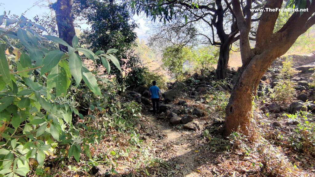 Pisarnath trek starts