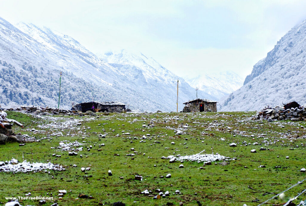 jeethang aruanchal during NIMAS basic mountaineering course BMC AMC