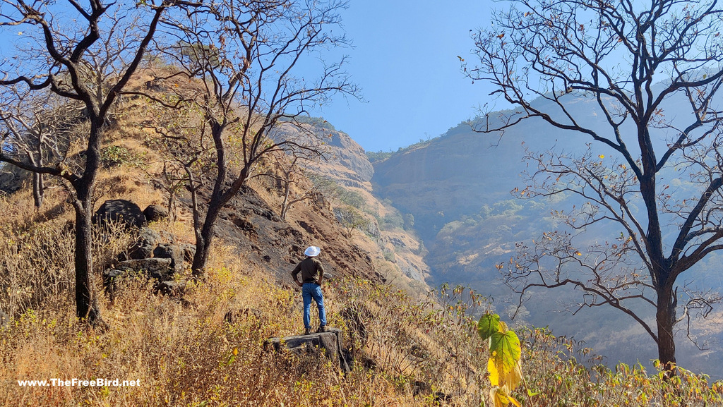 Pisarnath route valley