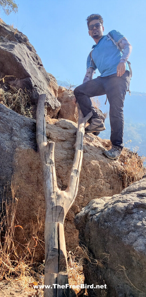 Wooden ladder at Pisarnath trek