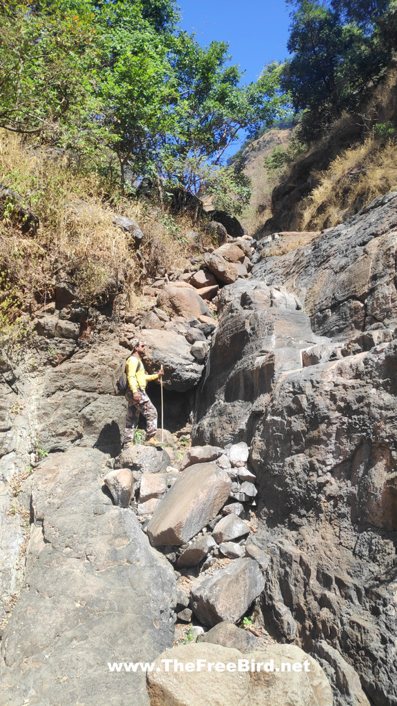 Rock climbing at Beatrice cliff