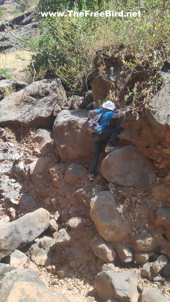 rock climbing at beatrice cliff trek