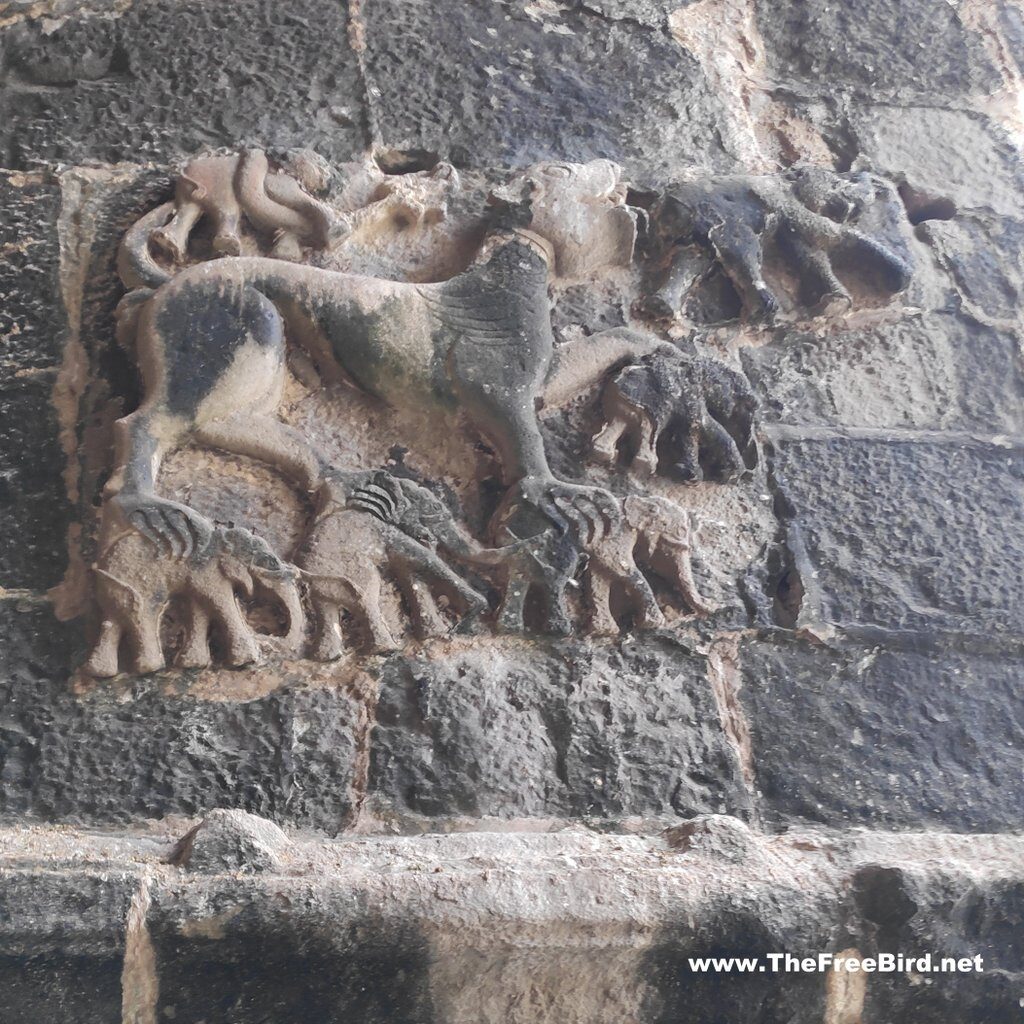 Sharabha - (part lion , part beast ) hunting 6 elephants - carving at Murud Janjira fort