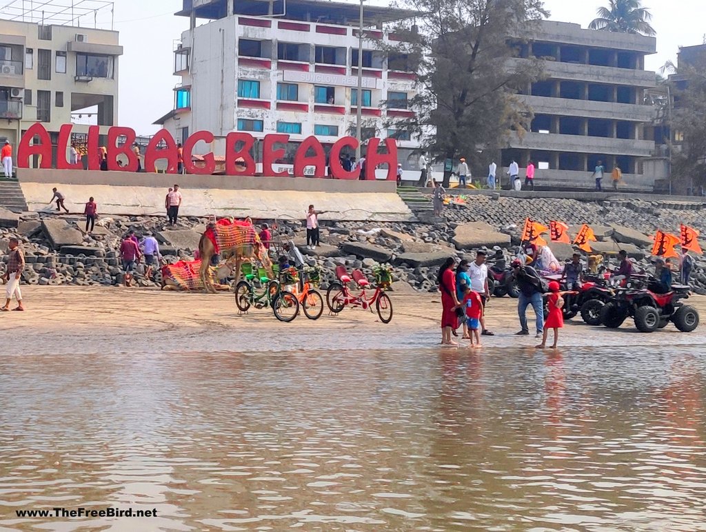 horses, camels , boats for Kolaba fort