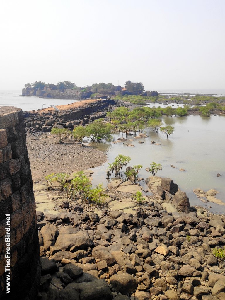 Kolaba fort alibag visible from sarjakot