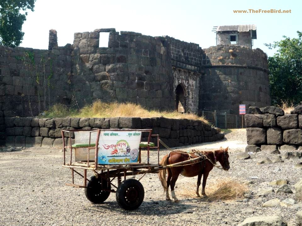 Horse Cart to Kolaba Fort