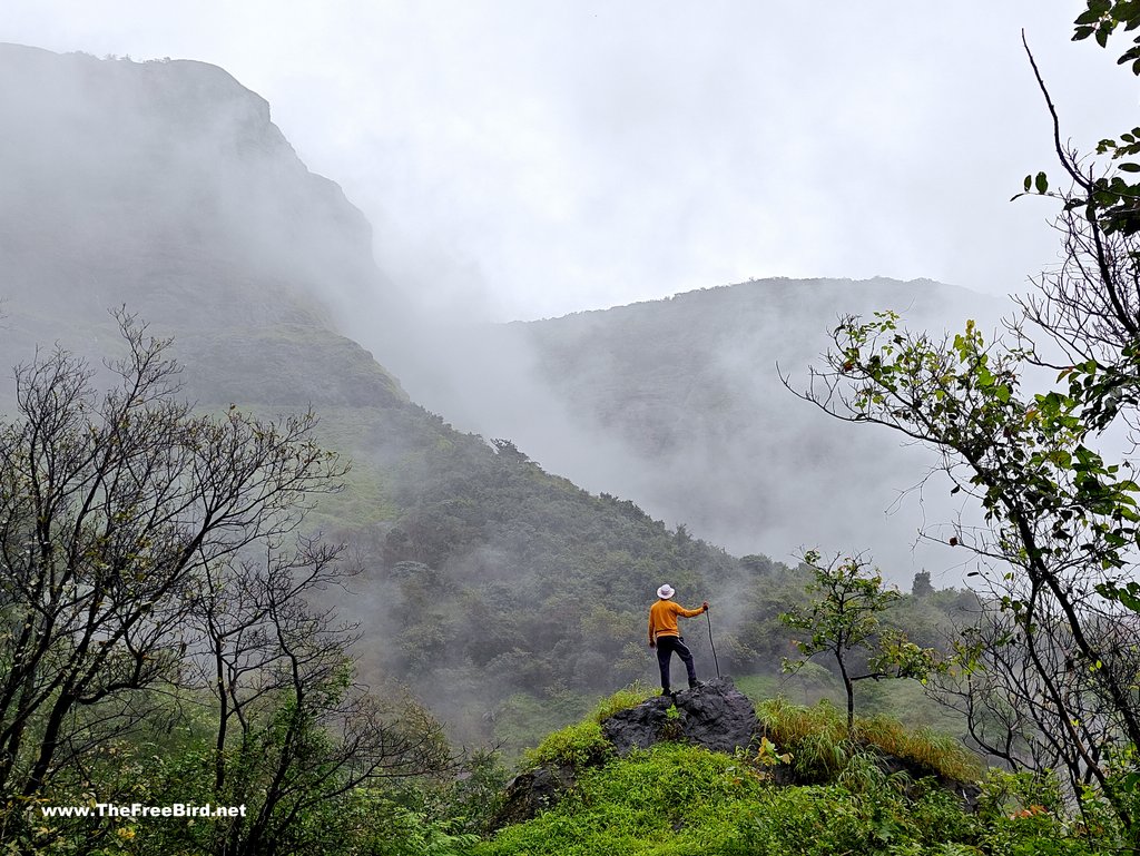 The Horizon Ridge - Prabalgad Irshalgad traverse