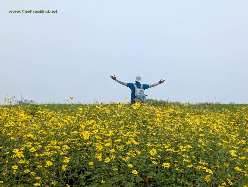 Horizon Ridgeline - Prabalgad Irshalgad traverse