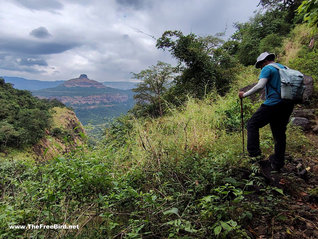 Jungle book trek Mumbai - offbeat trek - no crowd trek near Mumbai